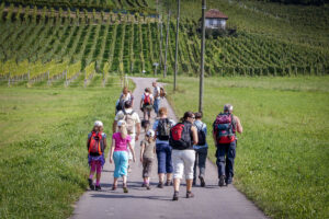 Vereinsausflug 2010 – Tössegg & Irchelturm